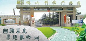 城建交通繼電器材料